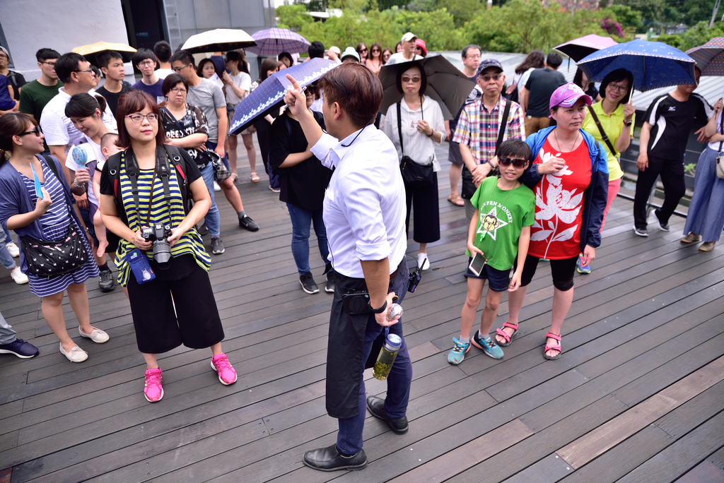 DSC_0137_4533.JPG - 2019大溪老茶廠
