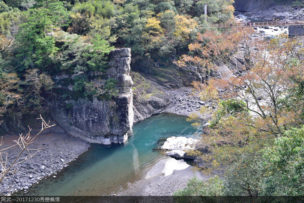 DSC_3629_831.JPG - 秀巒楓情