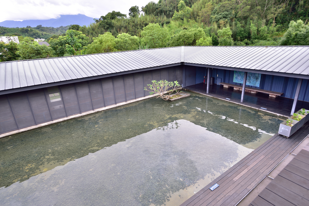 DSC_0167_4550.JPG - 2019大溪老茶廠