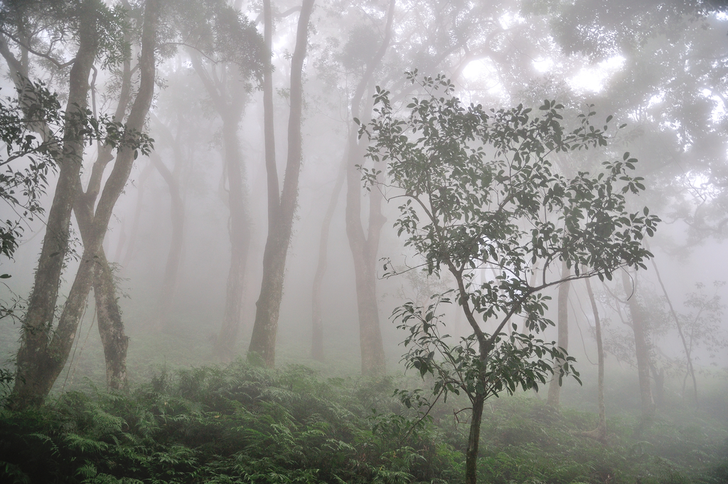 DSC_4206_137.JPG - 2017虎山
