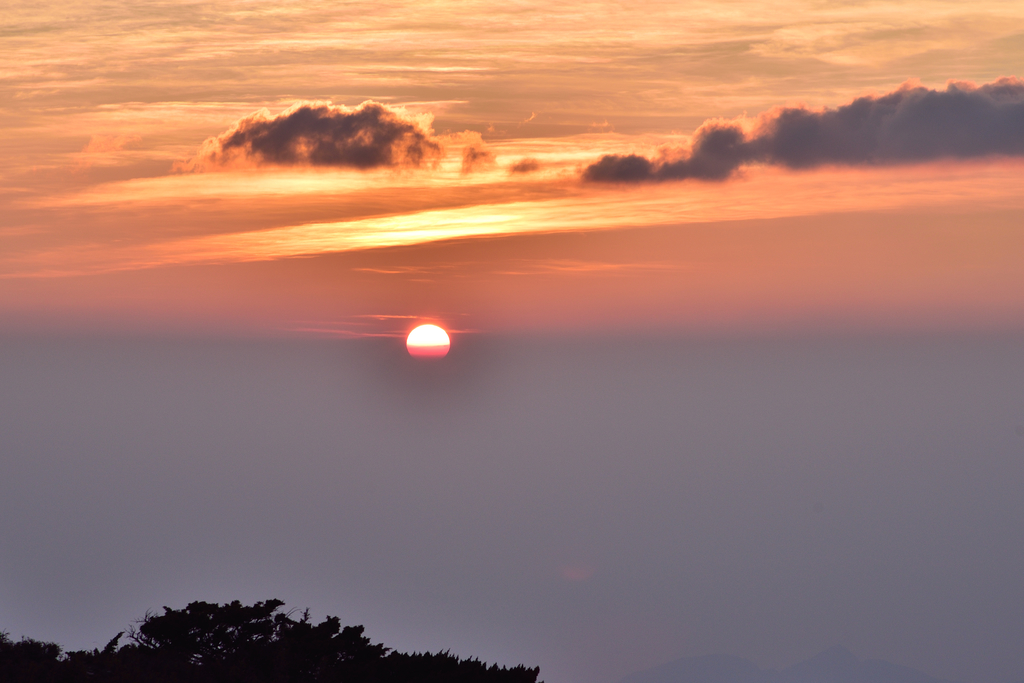 DSC_9795_4358.JPG - 南湖D5