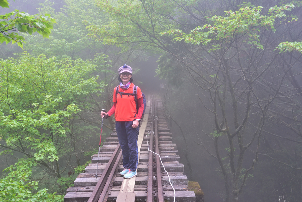 DSC_3177_6200.JPG - 阿里山眠月線
