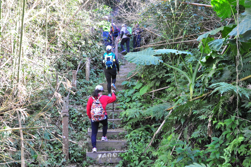 DSC_6685.JPG - 2015馬拉邦山
