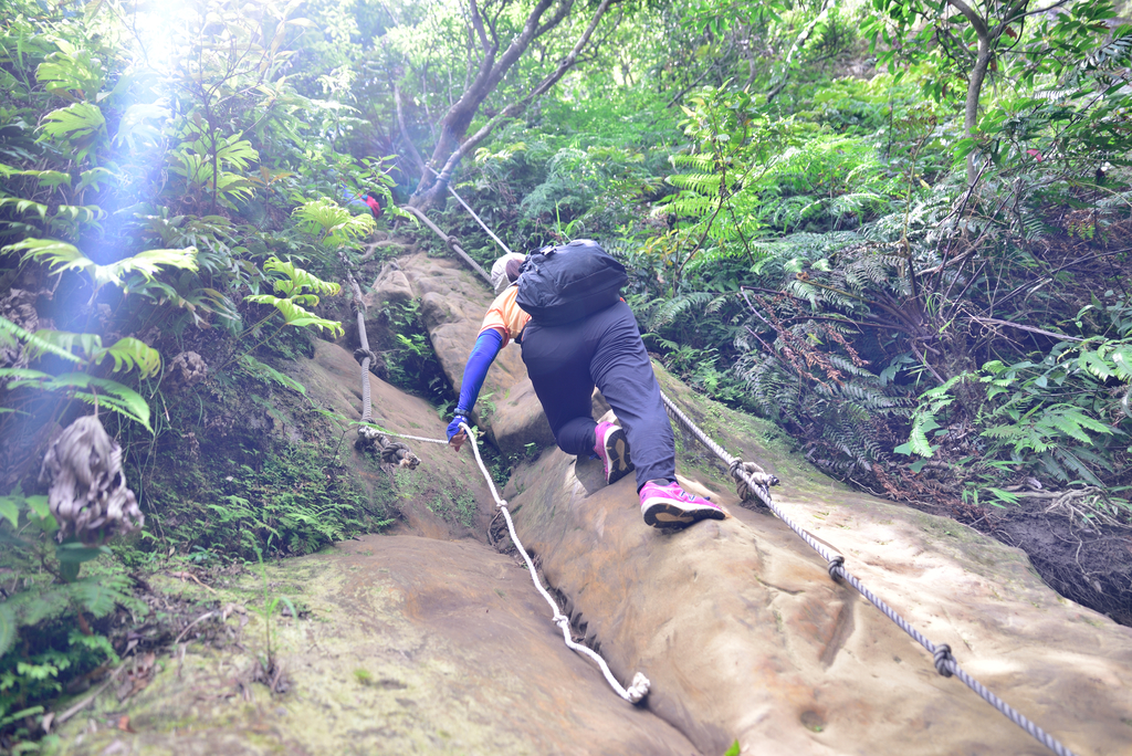 DSC_6221_2435.JPG - 2018平溪孝子山