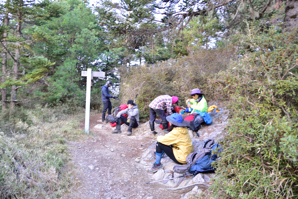 DSC_9860_4386.JPG - 南湖D5