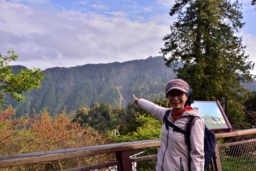 DSC_2907_6074.JPG - 阿里山眠月線