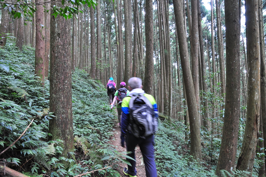 DSC_3108.JPG - 2017民都有山暨清泉攬勝