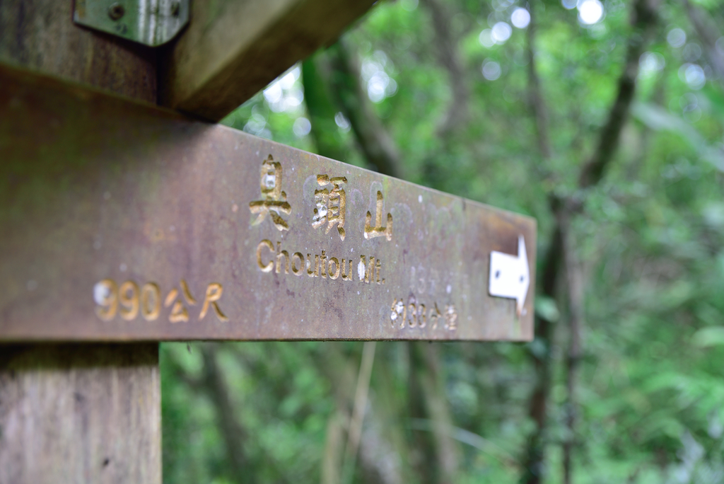 DSC_6266_2464.JPG - 2018平溪孝子山