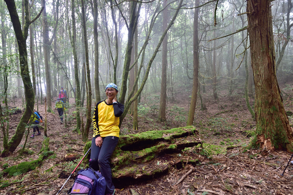 DSC_3610_6462.JPG - 0501北坑山大板根