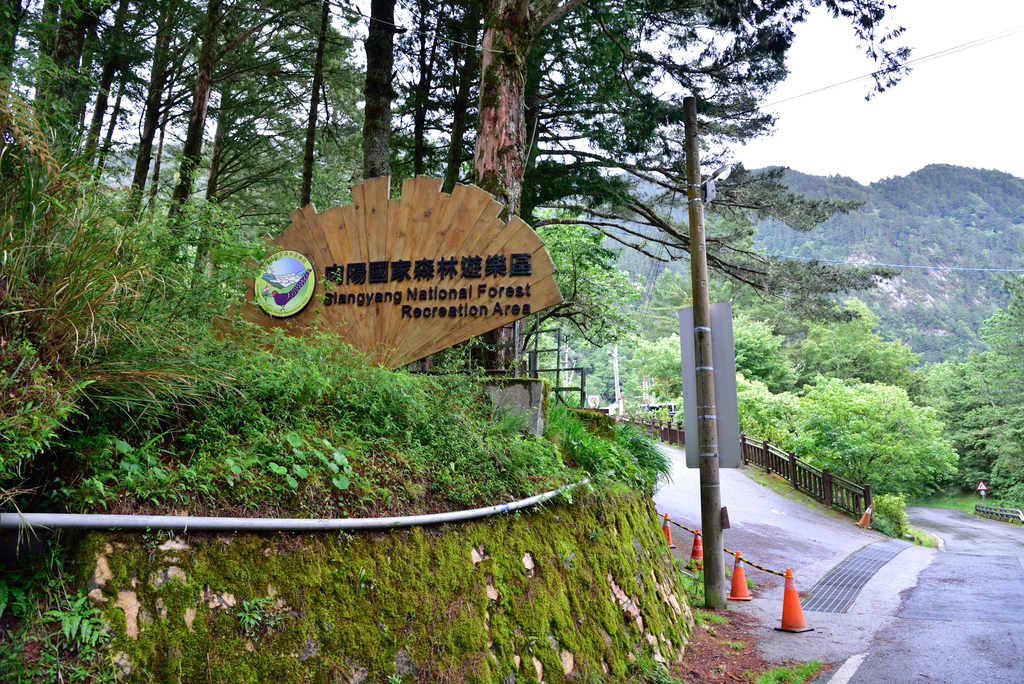 DSC_3682_6514.JPG - 南二段D1~2