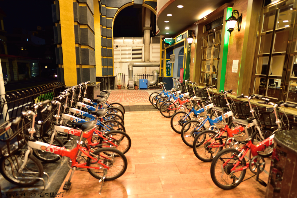 DSC_3013_532.JPG - 2017 台東輕旅行