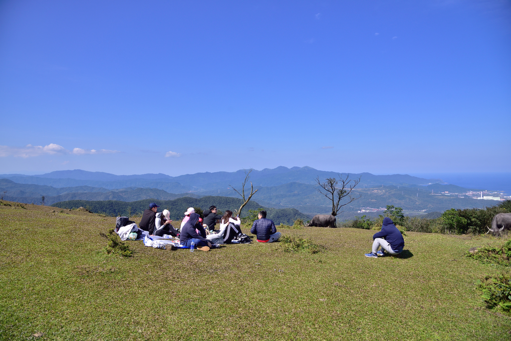 DSC_6283_8029.JPG - 20210221桃源谷