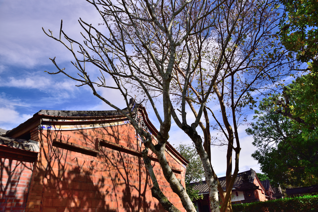 DSC_7241_3034.JPG - 20181208大溪齋明寺