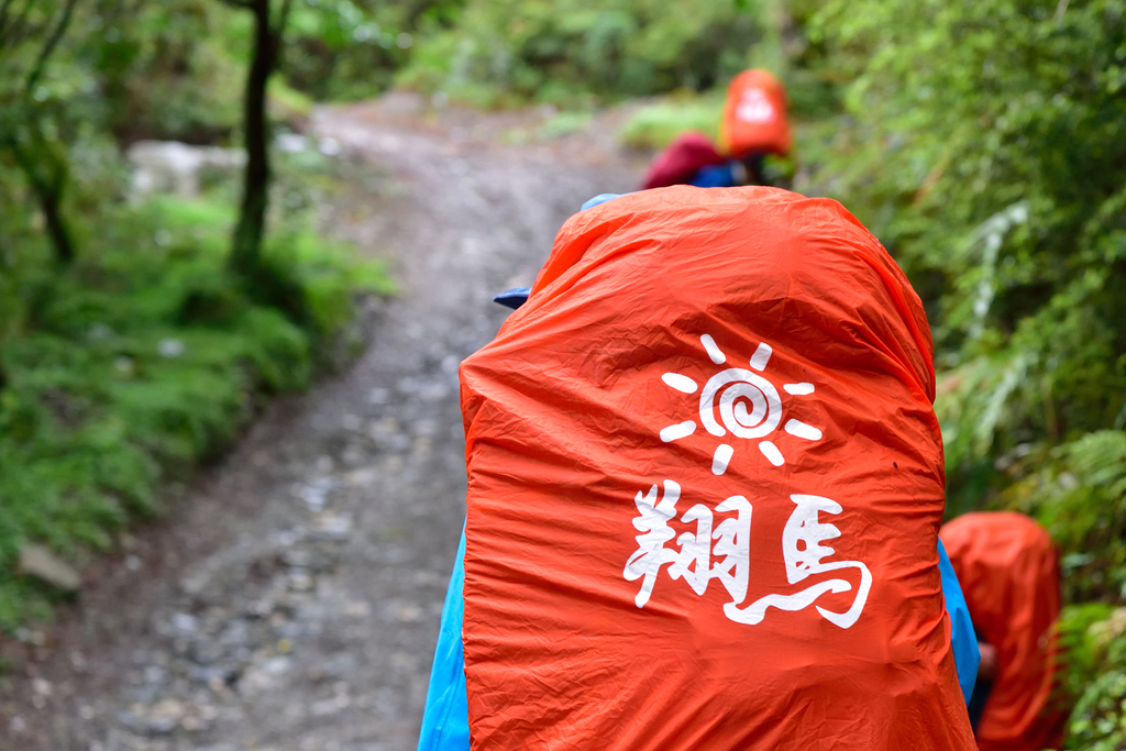 DSC_3700_6522.JPG - 南二段D1~2
