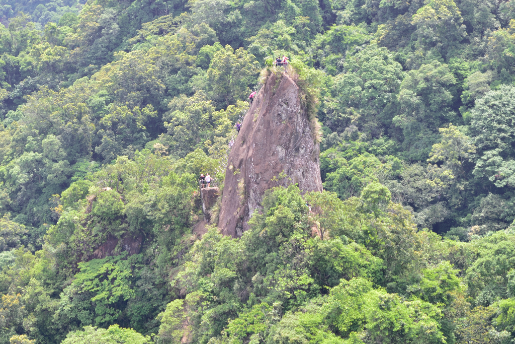 DSC_6175_2531.JPG - 2018平溪孝子山