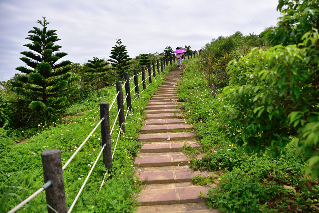 DSC_6732_2842.JPG - 2018家庭月