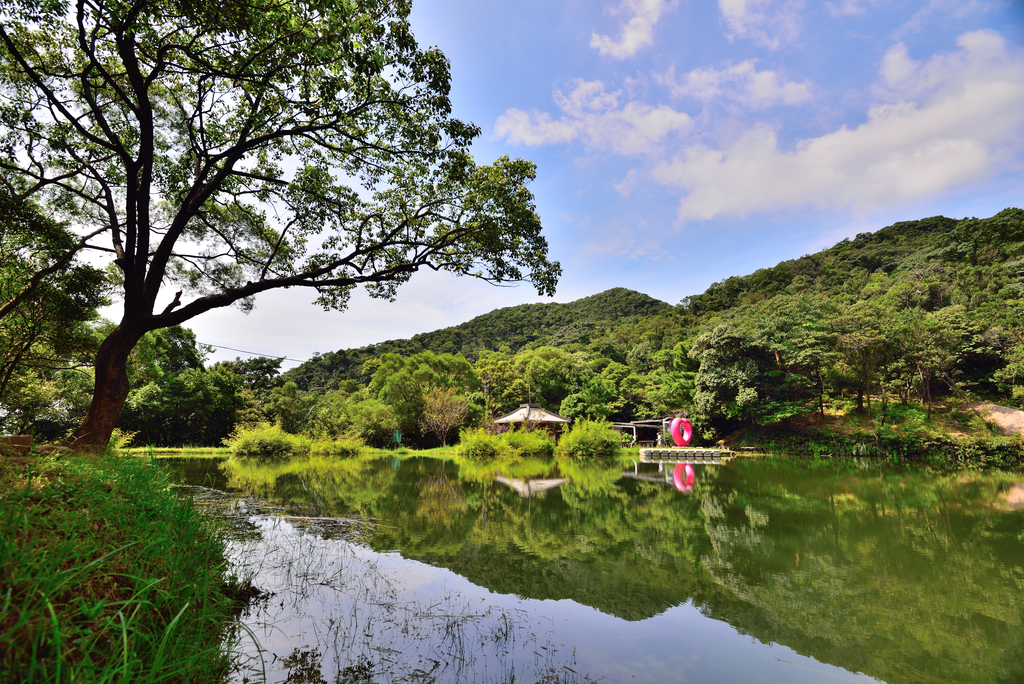 DSC_1001_4960.JPG - 2019新山夢湖