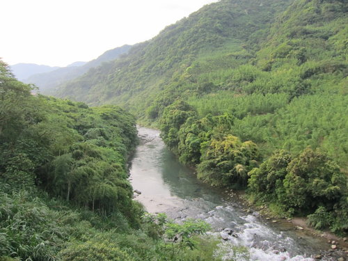 大板根越嶺東眼山－重拾跑山樂趣