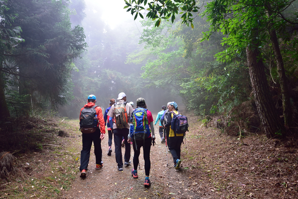 DSC_3643_6481.JPG - 0501北坑山大板根