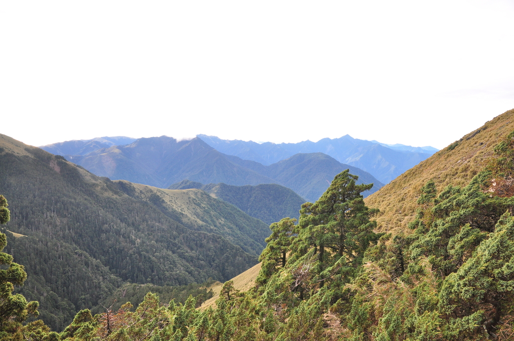 DSC_8998.JPG - 2016玉山後四峰