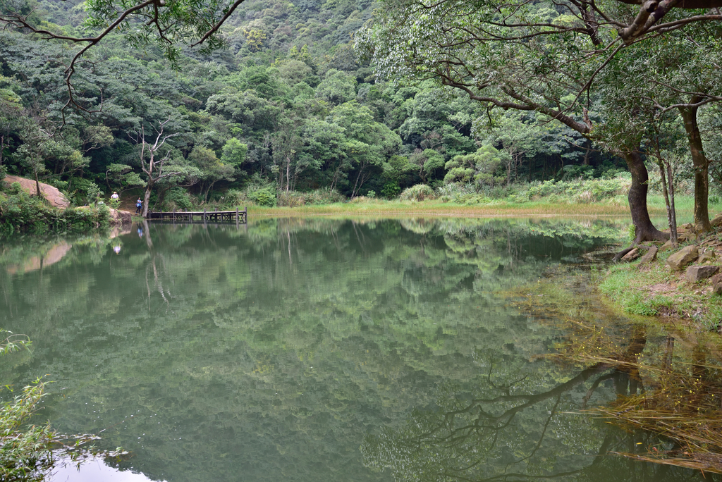 2019新山夢湖