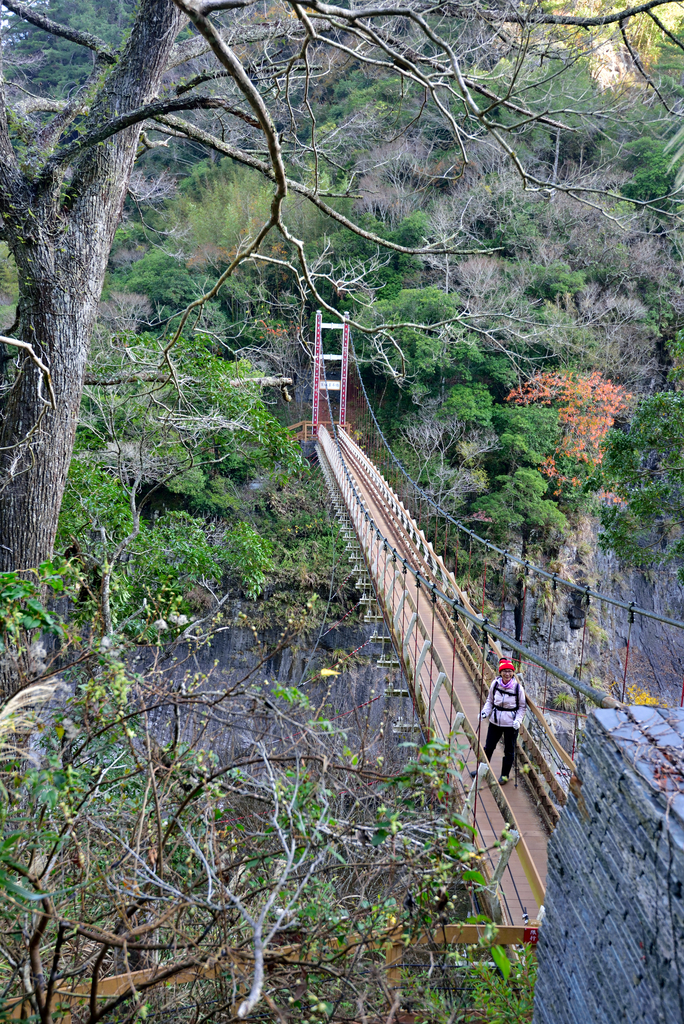 DSC_5746_7748.JPG - 20210124芝生毛台山