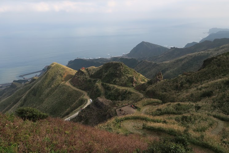 IMG_3067.JPG - 黃金三稜