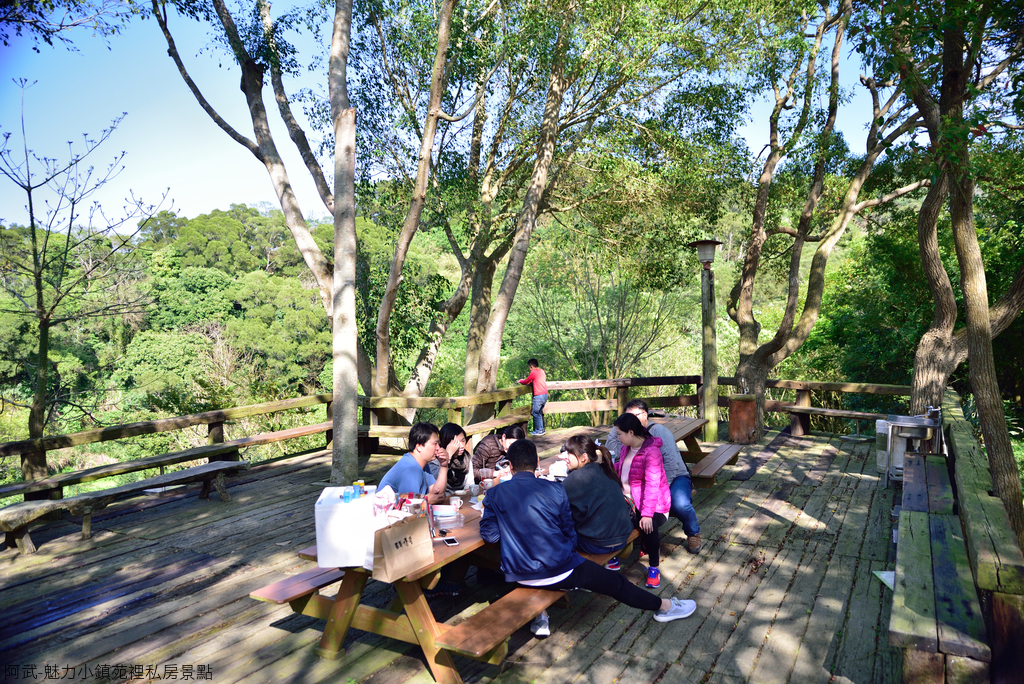 DSC_5118_1671.JPG - 魅力小鎮苑裡私房景點