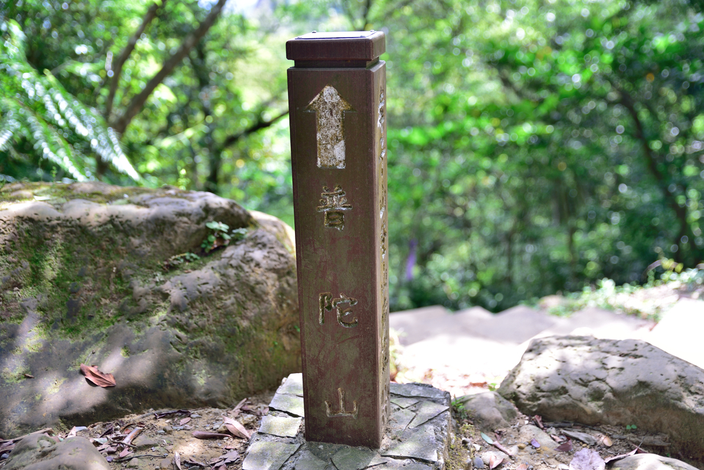 DSC_6076_2346.JPG - 2018平溪孝子山