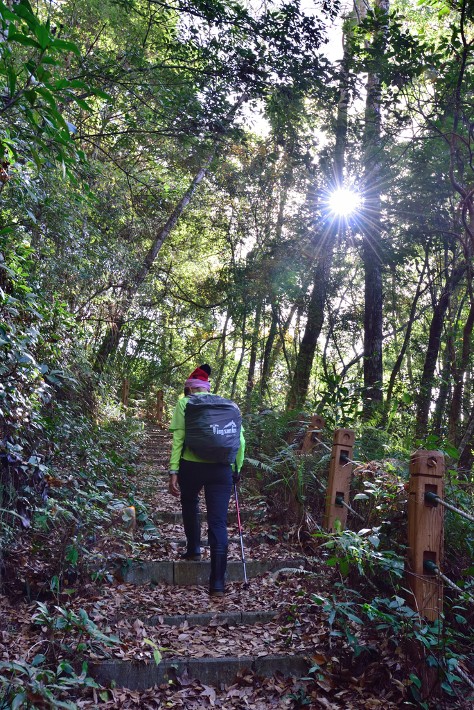 DSC_5785_7764.JPG - 20210124芝生毛台山