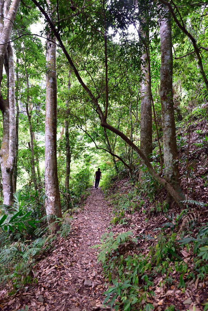 DSC_5279_7217.JPG - 20200905上島山