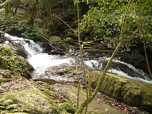 2007/03/31阿玉山縱走露門山O型(烏來三姑連環走之二)