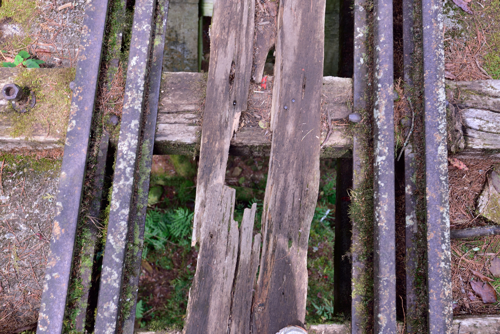 DSC_3118_6165.JPG - 阿里山眠月線