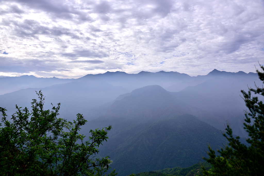 DSC_3378_6302.JPG - 0501北坑山大板根
