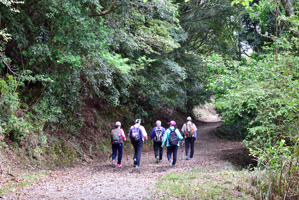 DSC_3380_6304.JPG - 0501北坑山大板根