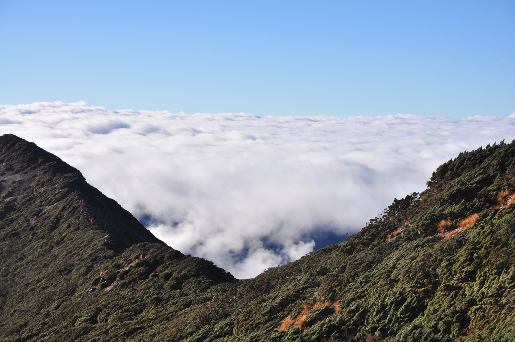 DSC_9111.JPG - 2016玉山後四峰