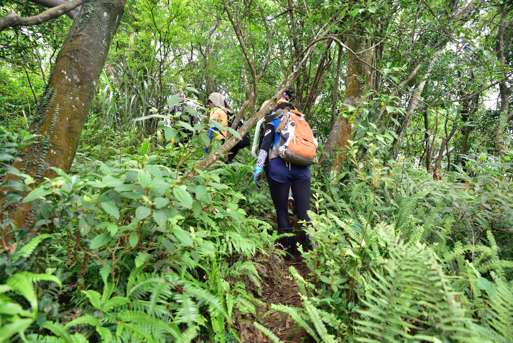 DSC_6268_2465.JPG - 2018平溪孝子山