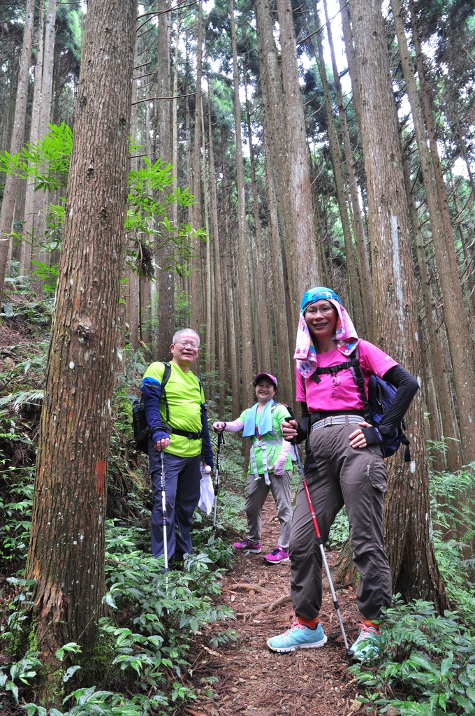 DSC_3098.JPG - 2017民都有山暨清泉攬勝