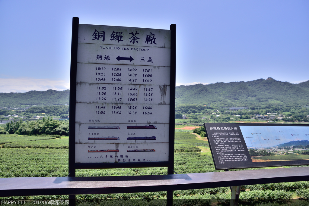 DSC_0259_4600.JPG - 0615銅鑼茶廠
