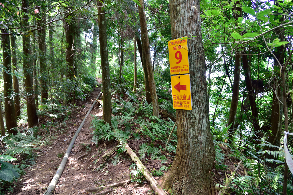 DSC_0763_4831.JPG - 20190720登向天湖山
