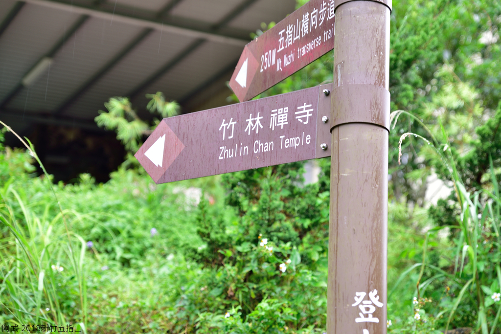 DSC_6713_2774.JPG - 2018新竹五指山