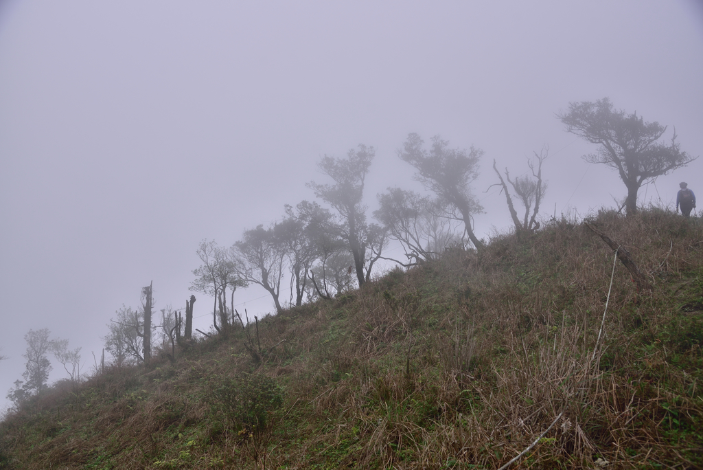DSC_6576_8185.JPG - 20210320蘭陽聖稜線縱走