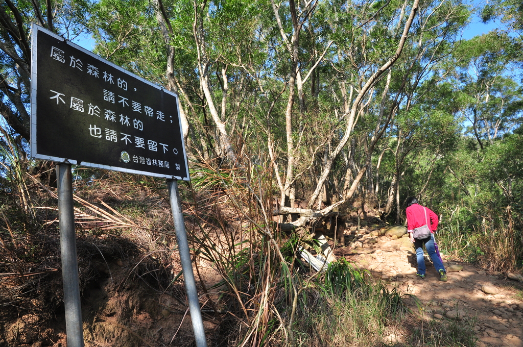 DSC_1278.JPG - 2017火炎山