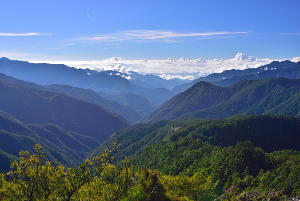 DSC_4514_6877.JPG - 南二段D5~6