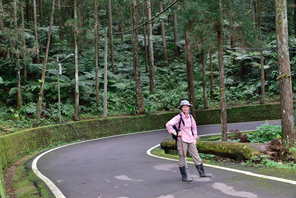 DSC_8142_3424.JPG - 2019向天湖山