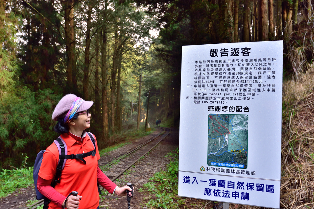 DSC_2944_6092.JPG - 阿里山眠月線