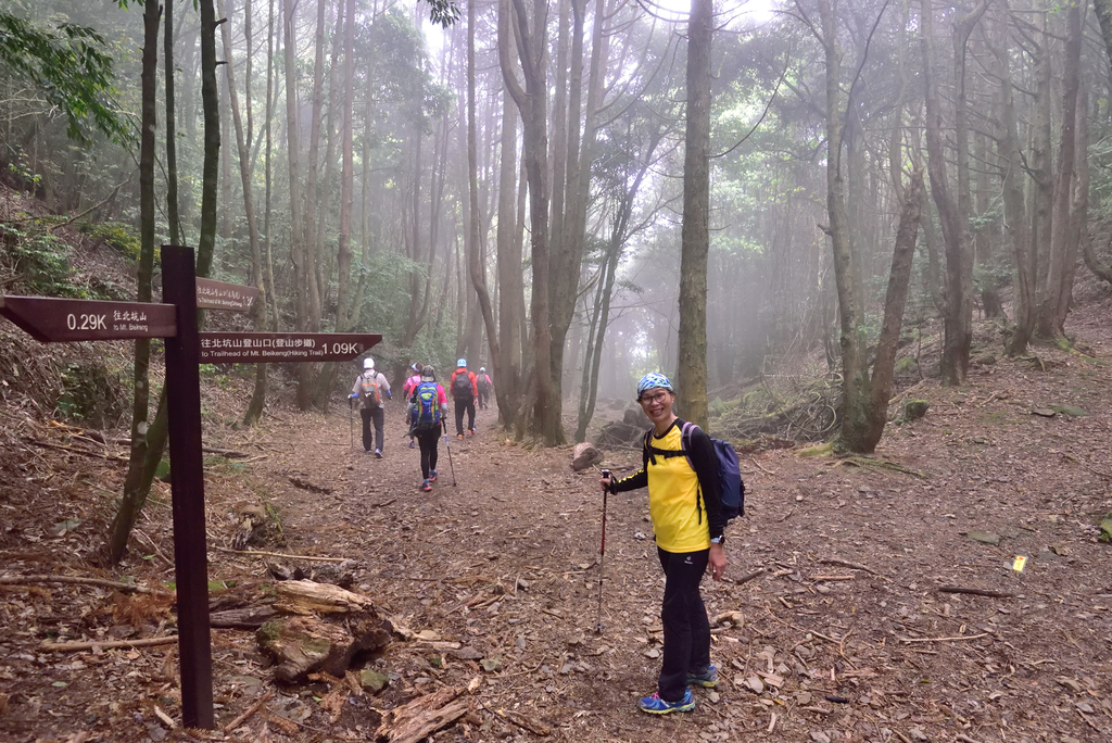 DSC_3621_6469.JPG - 0501北坑山大板根