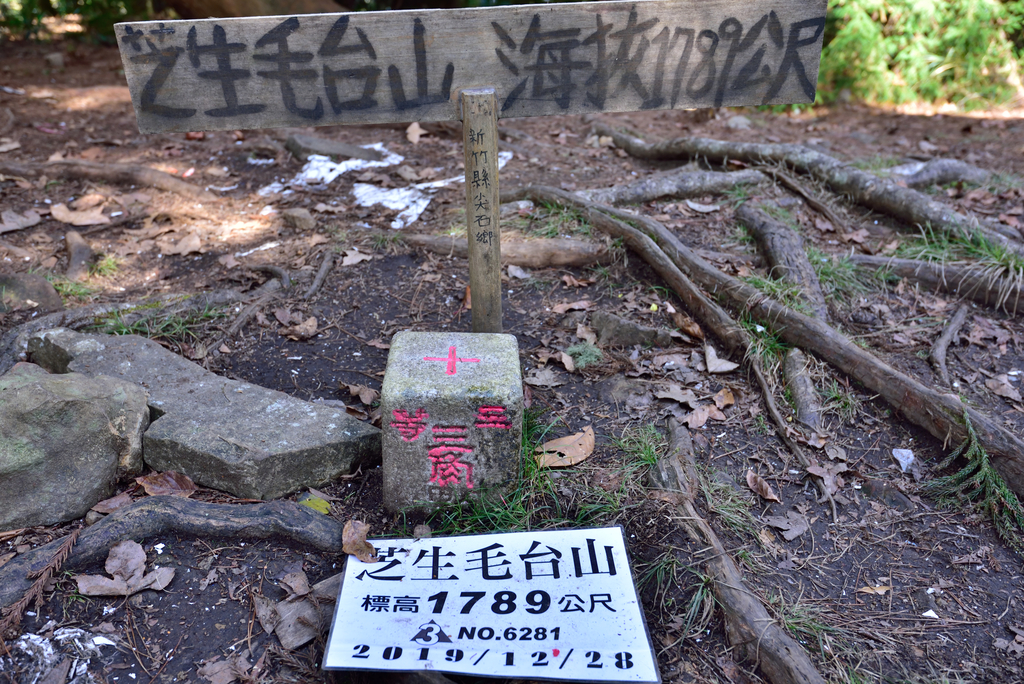 DSC_5839_7792.JPG - 20210124芝生毛台山