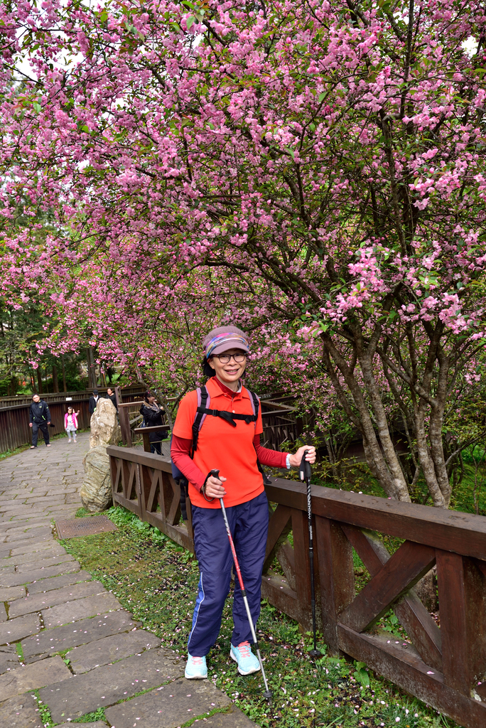 DSC_2924_6083.JPG - 阿里山眠月線