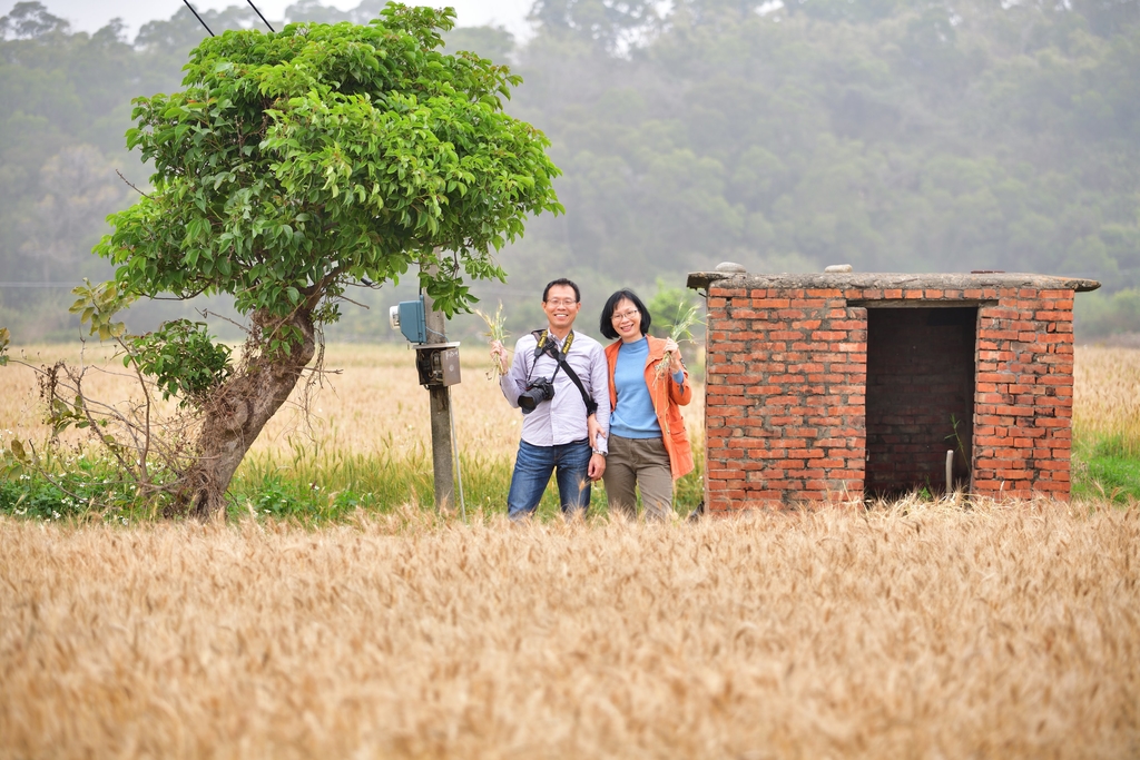 DSC_1811.JPG - 魅力小鎮苑裡私房景點